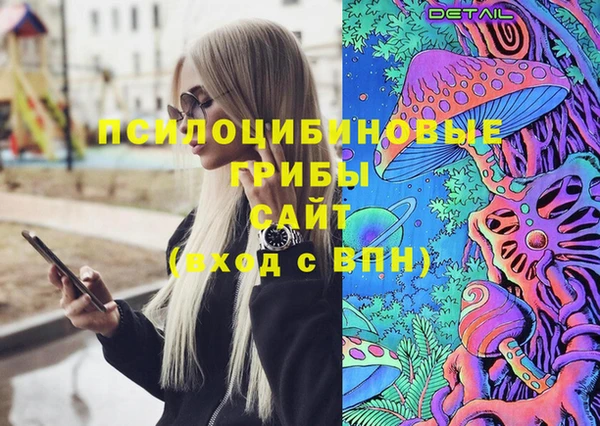 мдпв Лабытнанги