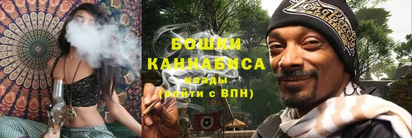 мдпв Лабытнанги