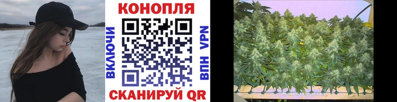 Купить  Лангепас  Шишки марихуана THC 21% 